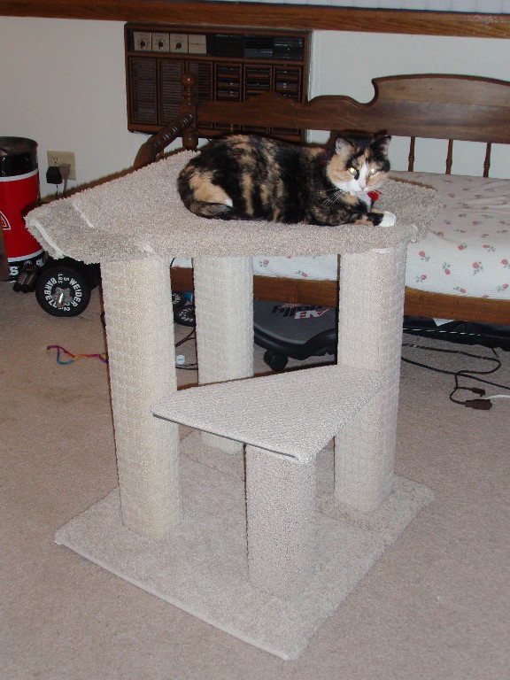 Fatty on her post Fatty on her post