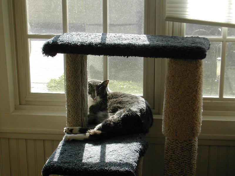 Scratching post Scratching post